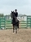 Nupafeed Supplements Senior Discovery Second Round - Willow Banks